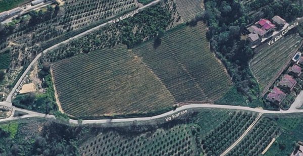 terreno agricolo in vendita a Diano d'Alba