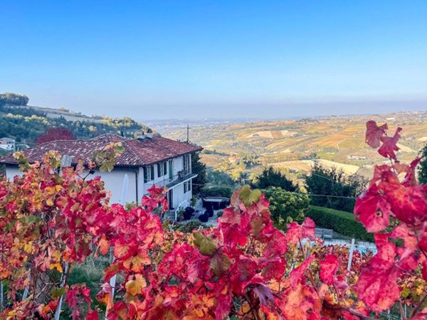 casa indipendente in vendita a Diano d'Alba