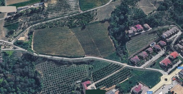 terreno agricolo in vendita a Diano d'Alba in zona Ricca
