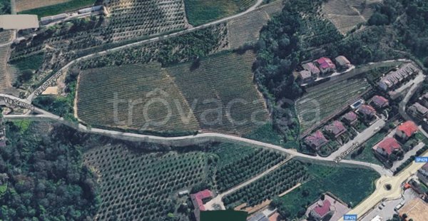 terreno agricolo in vendita a Diano d'Alba in zona Ricca