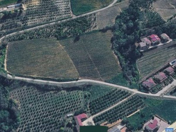 terreno agricolo in vendita a Diano d'Alba in zona Ricca
