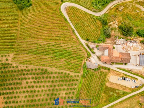 terreno agricolo in vendita a Dogliani