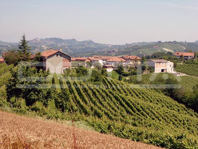 casa indipendente in vendita a Dogliani