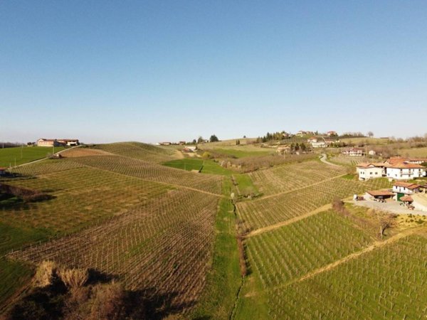 terreno agricolo in vendita a Dogliani