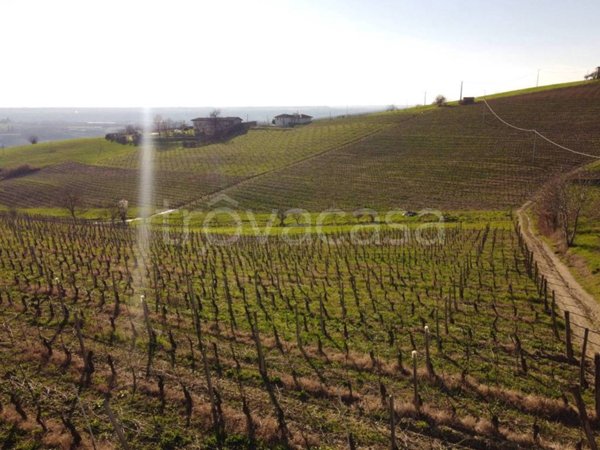 terreno agricolo in vendita a Dogliani