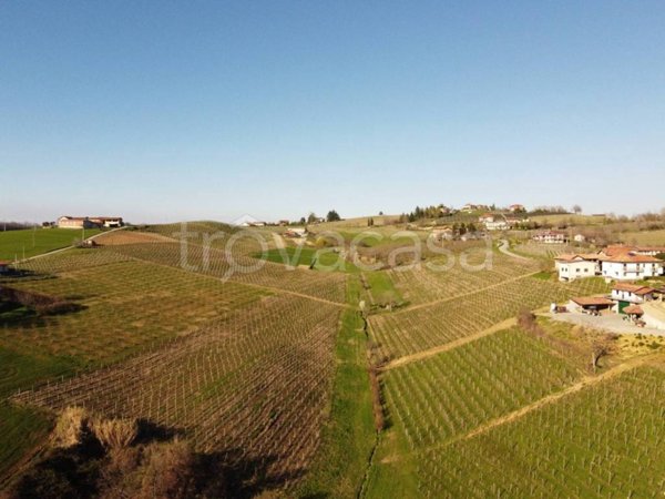 terreno agricolo in vendita a Dogliani