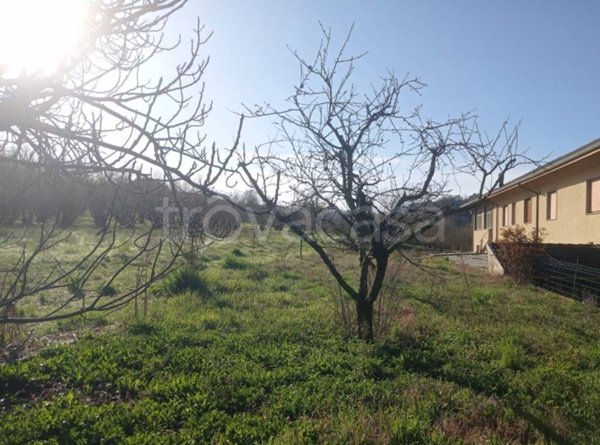 terreno agricolo in vendita a Dogliani