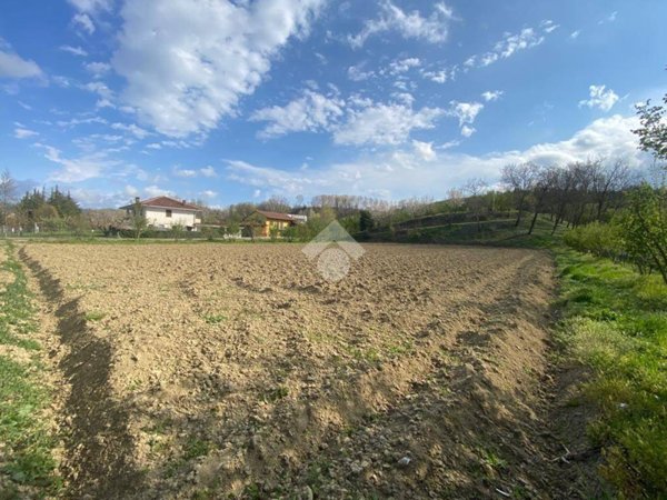 terreno agricolo in vendita a Dogliani