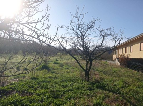 terreno agricolo in vendita a Dogliani