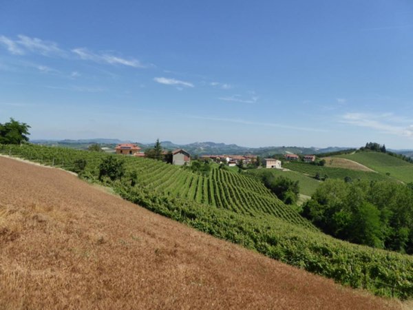 casa indipendente in vendita a Dogliani