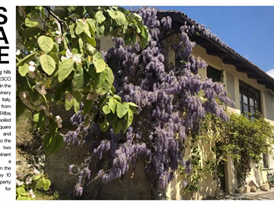 casa indipendente in vendita a Dogliani