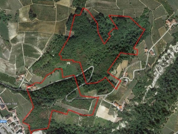 rudere in vendita a Dogliani