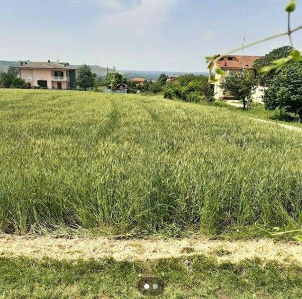 terreno agricolo in vendita a Dogliani