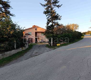 azienda agricola in vendita a Dogliani