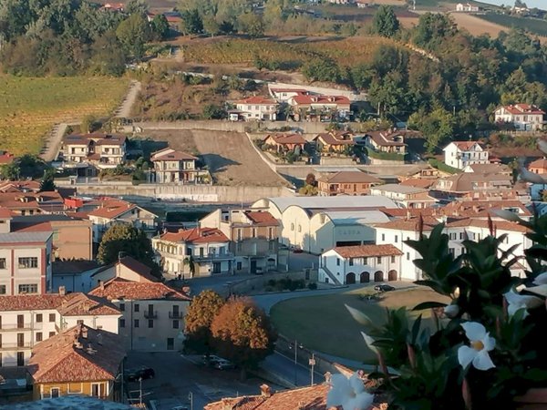 terreno edificabile in vendita a Dogliani