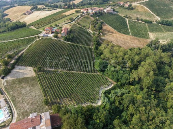 terreno agricolo in vendita a Dogliani