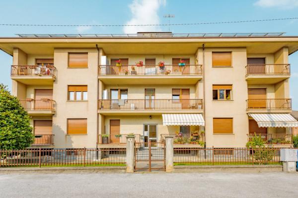 immagine annuncio 0 di 15