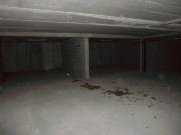 negozio in vendita ad Entracque