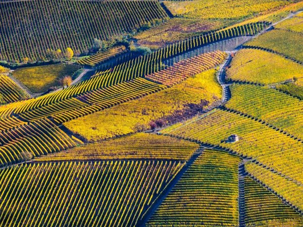 terreno agricolo in vendita a Farigliano