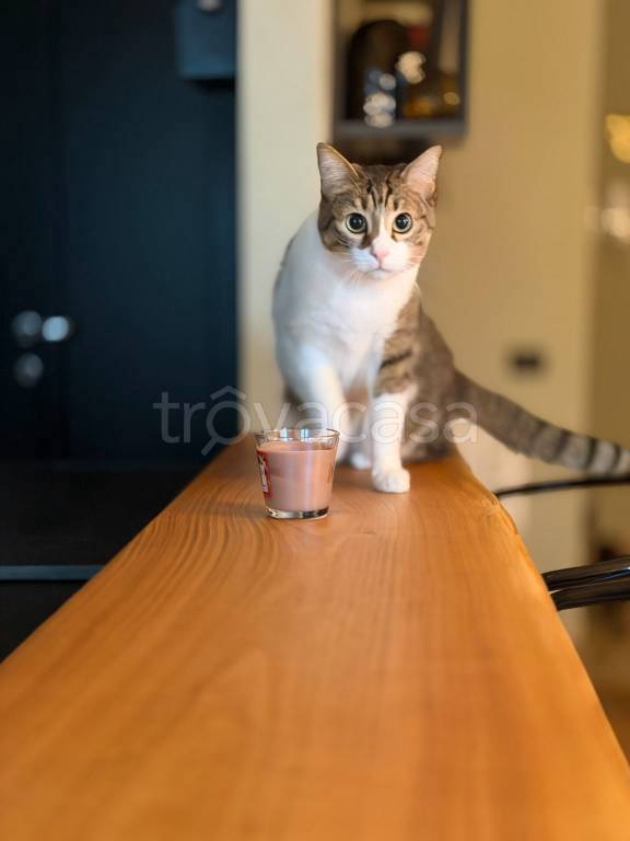 appartamento in vendita a Farigliano