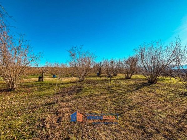 terreno agricolo in vendita a Farigliano