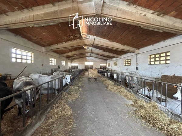 locale commerciale in vendita a Fossano in zona Murazzo