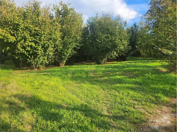 terreno agricolo in vendita a Fossano in zona San Lorenzo