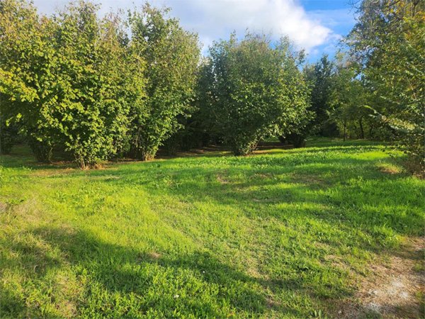 casa indipendente in vendita a Fossano in zona San Lorenzo