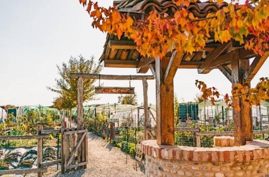 negozio in vendita a Fossano