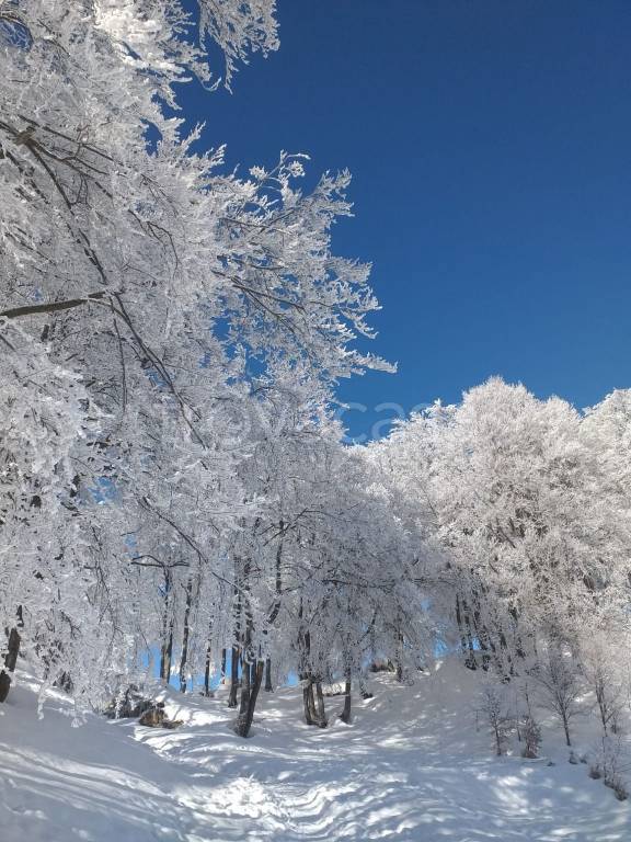appartamento in vendita a Frabosa Sottana in zona Prato Nevoso