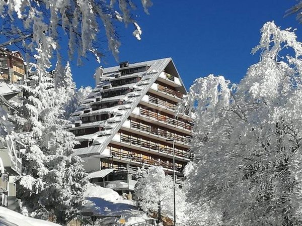 immagine annuncio 0 di 15