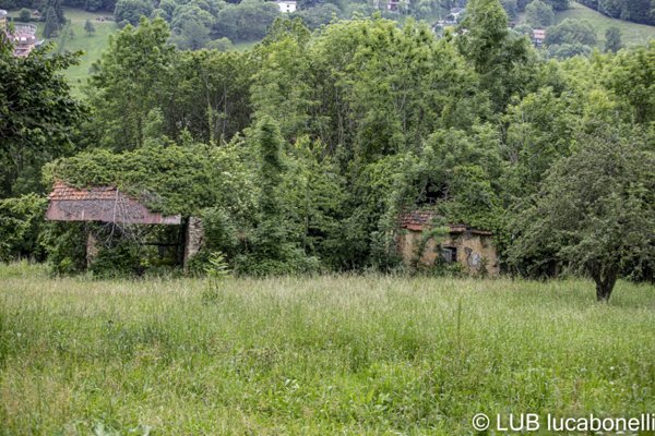 casa indipendente in vendita a Frabosa Sottana