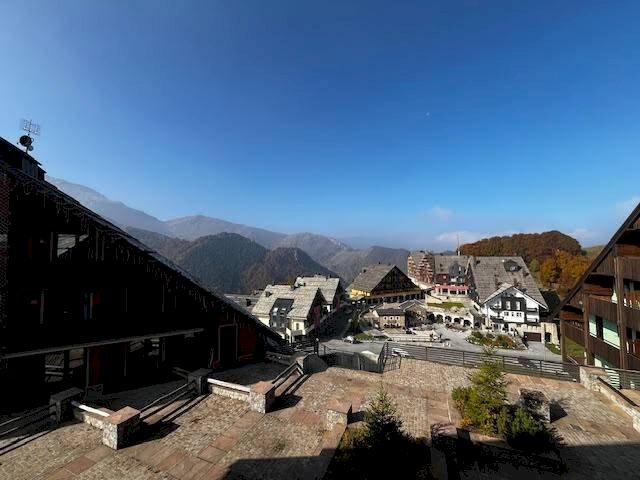 immagine annuncio 0 di 15