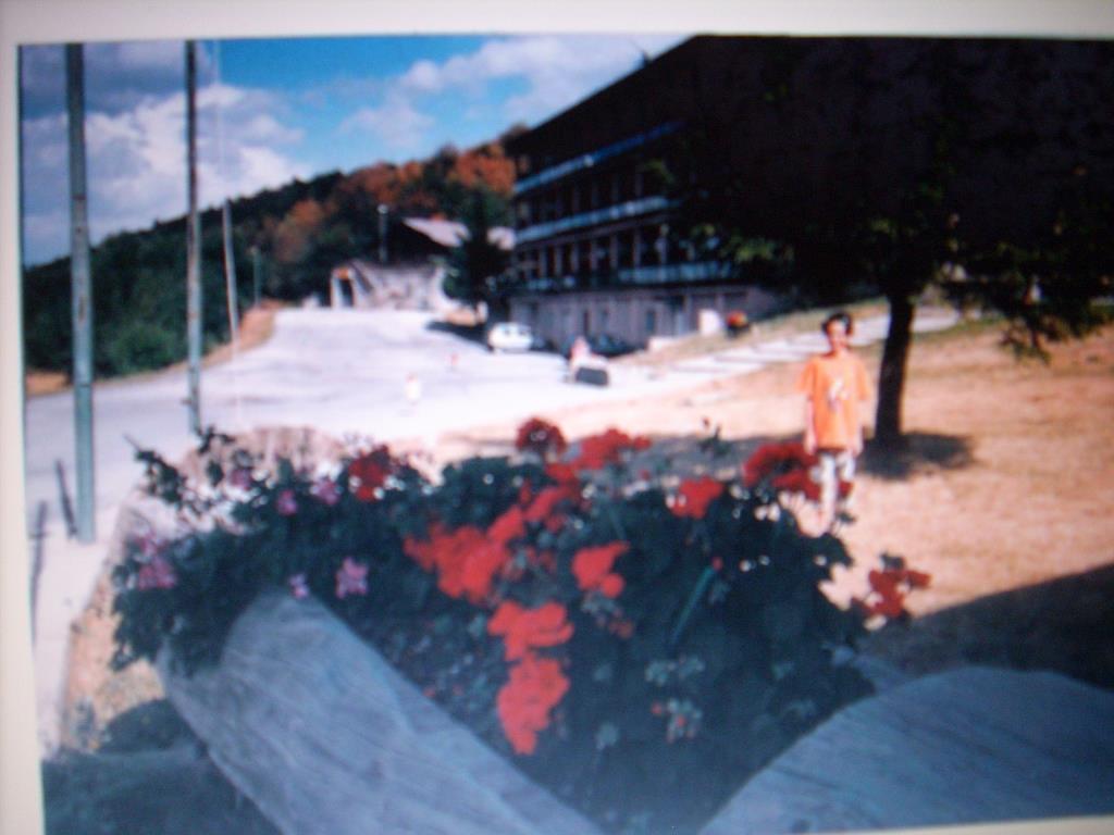 appartamento in vendita a Garessio