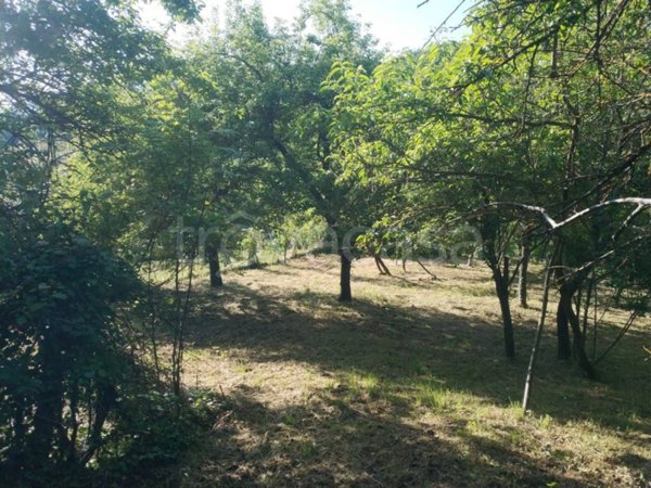 casa indipendente in vendita a Garessio
