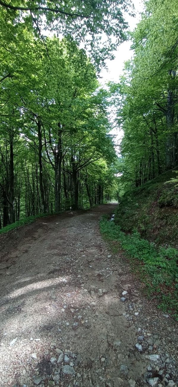 appartamento in vendita a Garessio