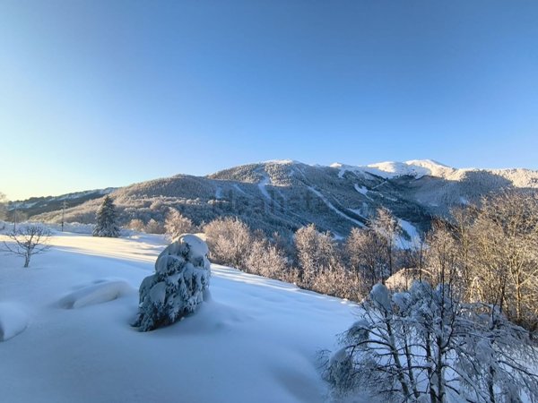 immagine annuncio 0 di 1