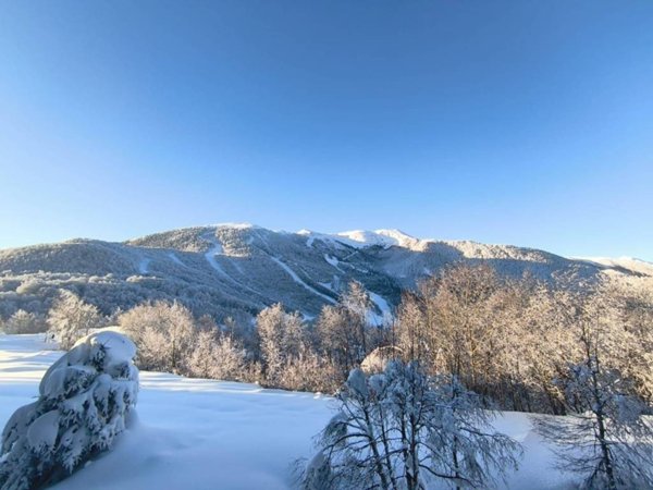 monolocale in vendita a Garessio