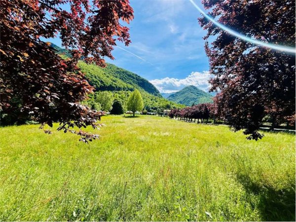 terreno agricolo in vendita a Garessio